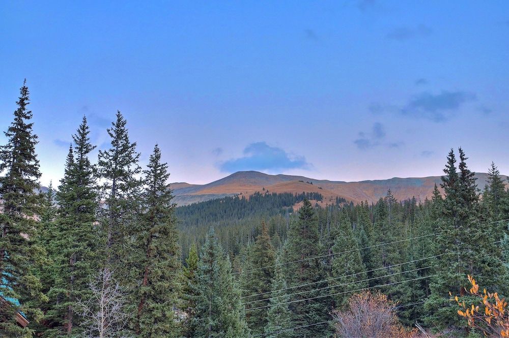 Pine Forest Lodge