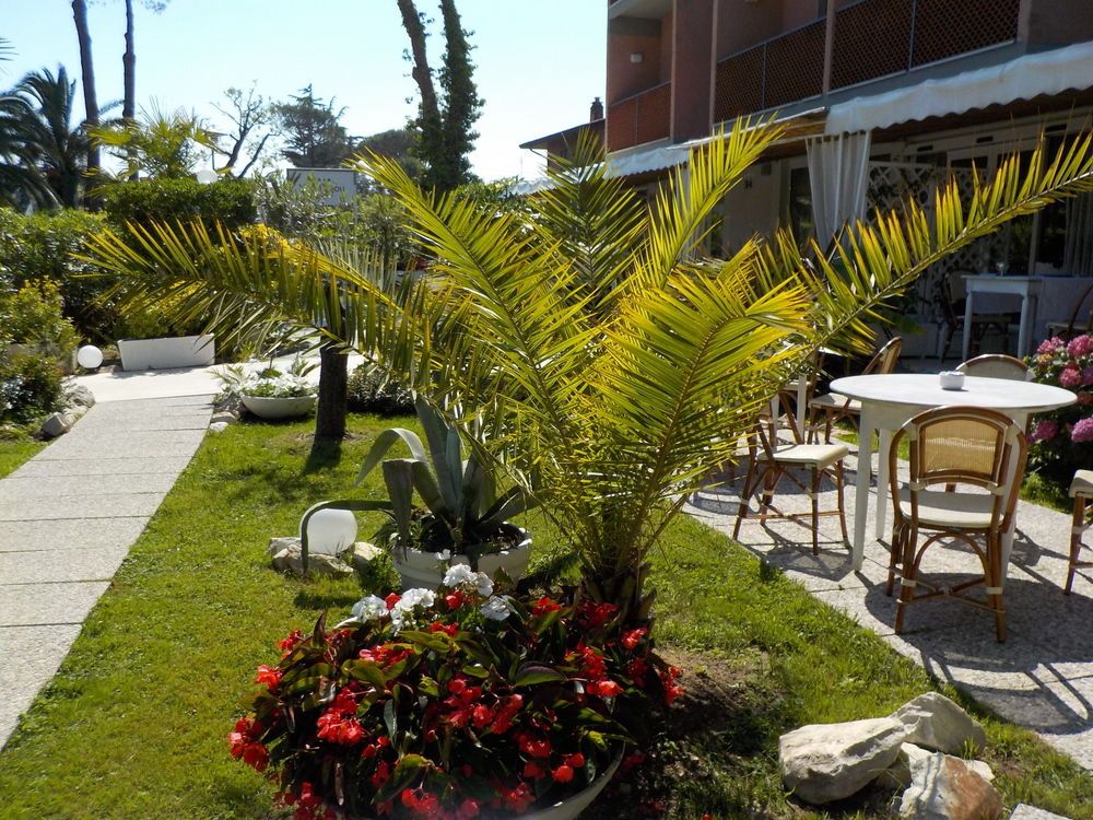 Hotel Bijou