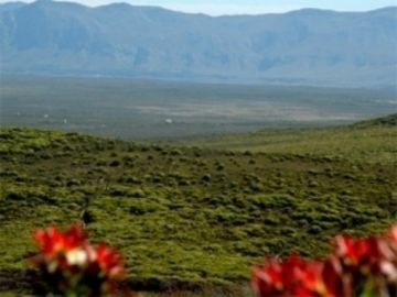 Grootbos Private Nature Reserve