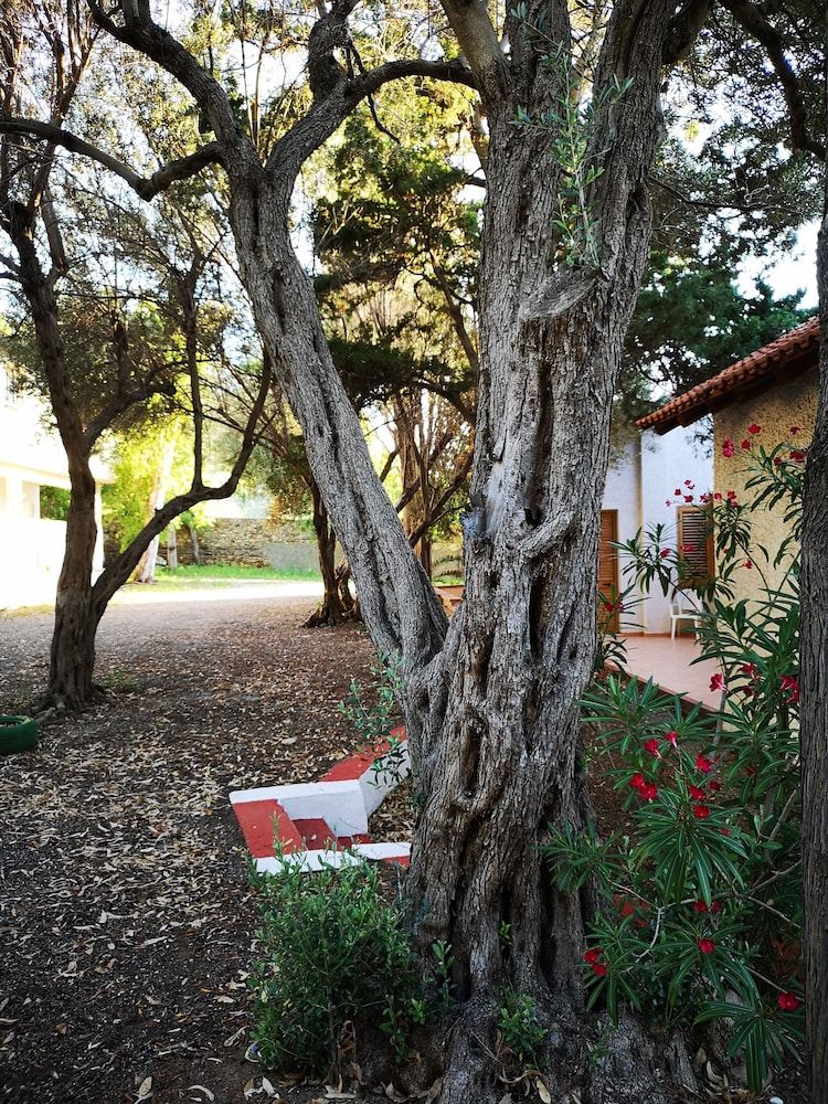 Camping Gioiosa B&B