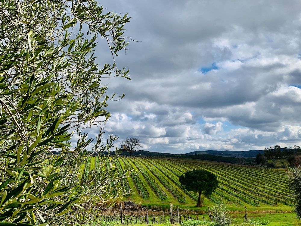 Azienda Agriturismo Fraschiera