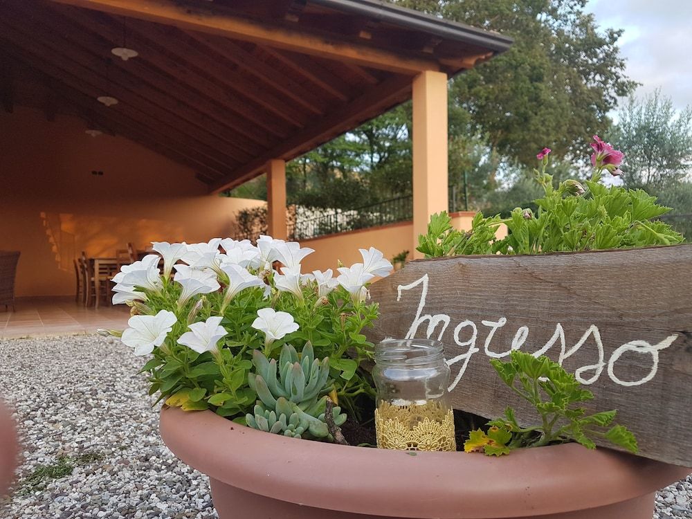 Agriturismo L'ulivo