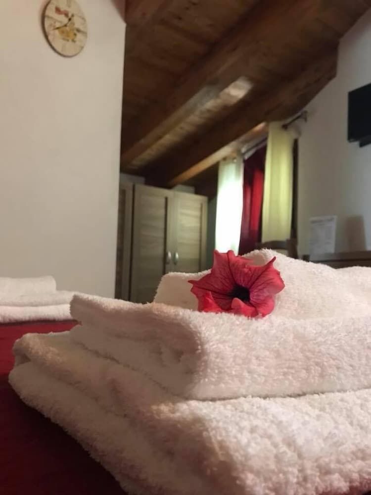 Agriturismo L'ulivo