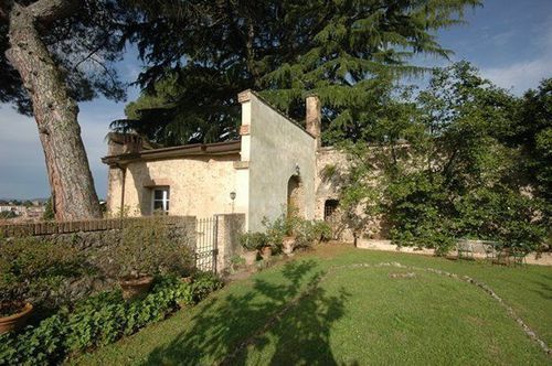 Le Camelie