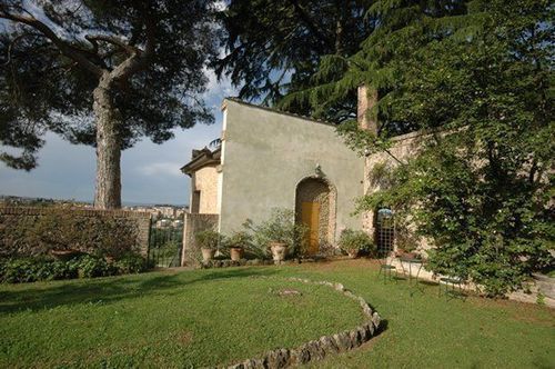 Le Camelie