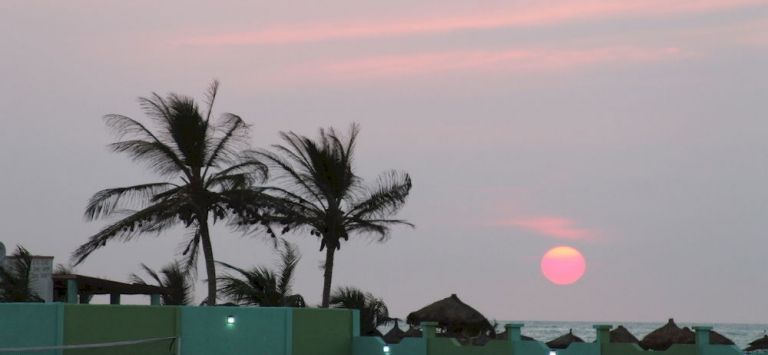 Flourish Wellness Resort