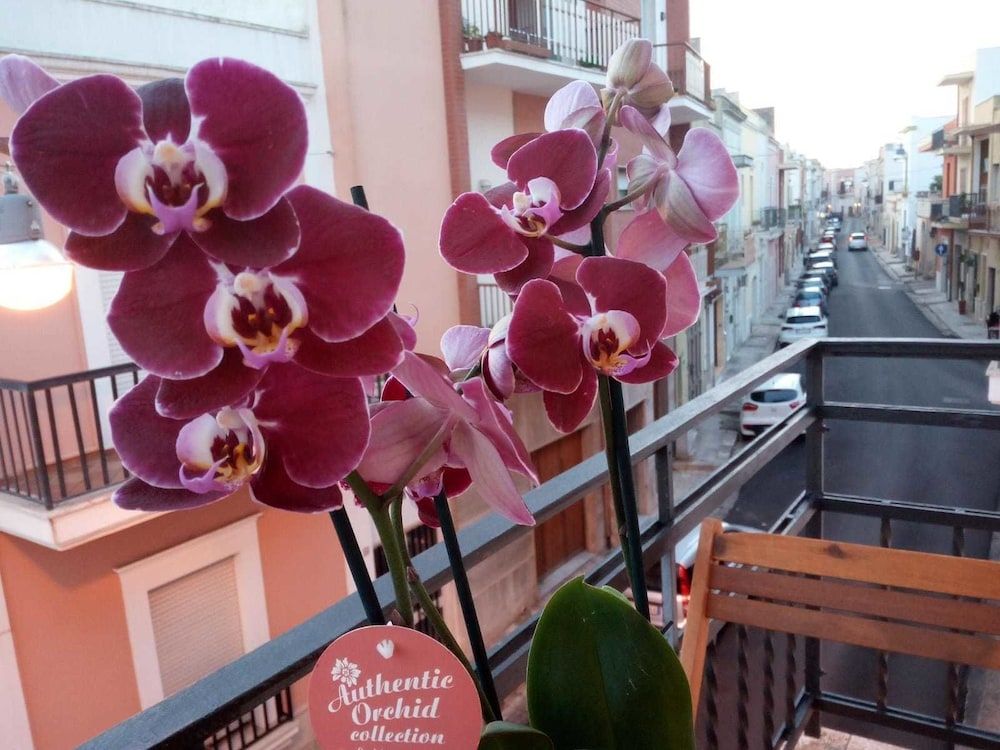 B&B Palazzo Mosca