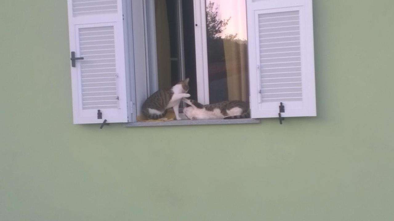 B&B Elfo Degli Ulivi