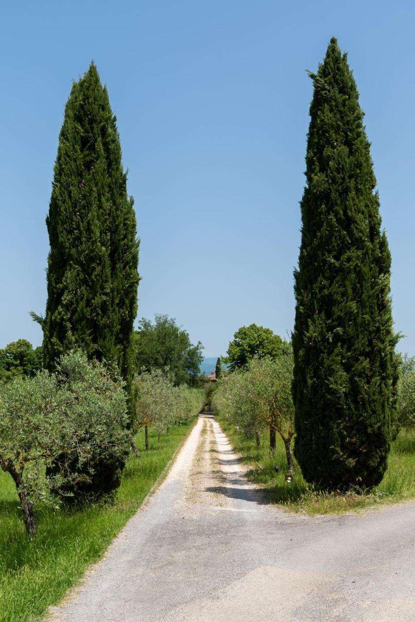 Villa Il Rossignolo