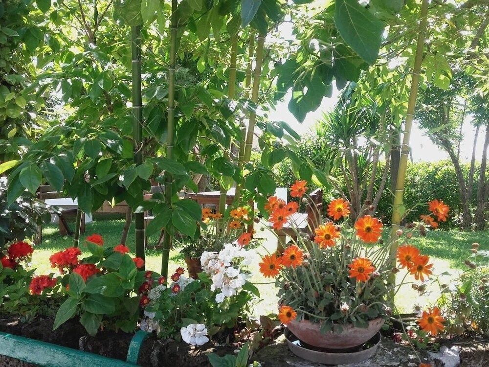 Pier Delle Vigne B&B