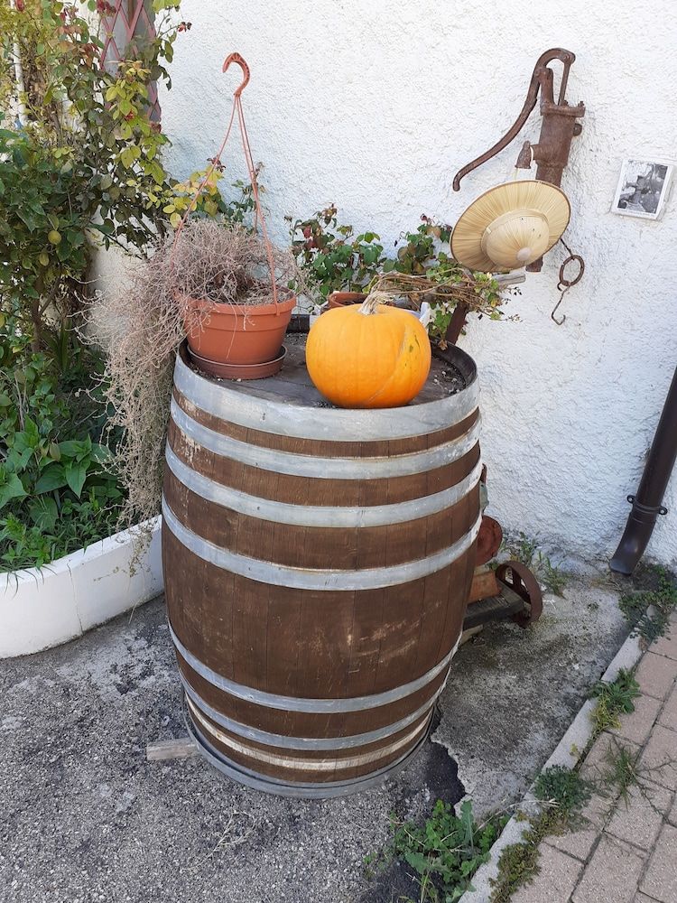 Pier Delle Vigne B&B