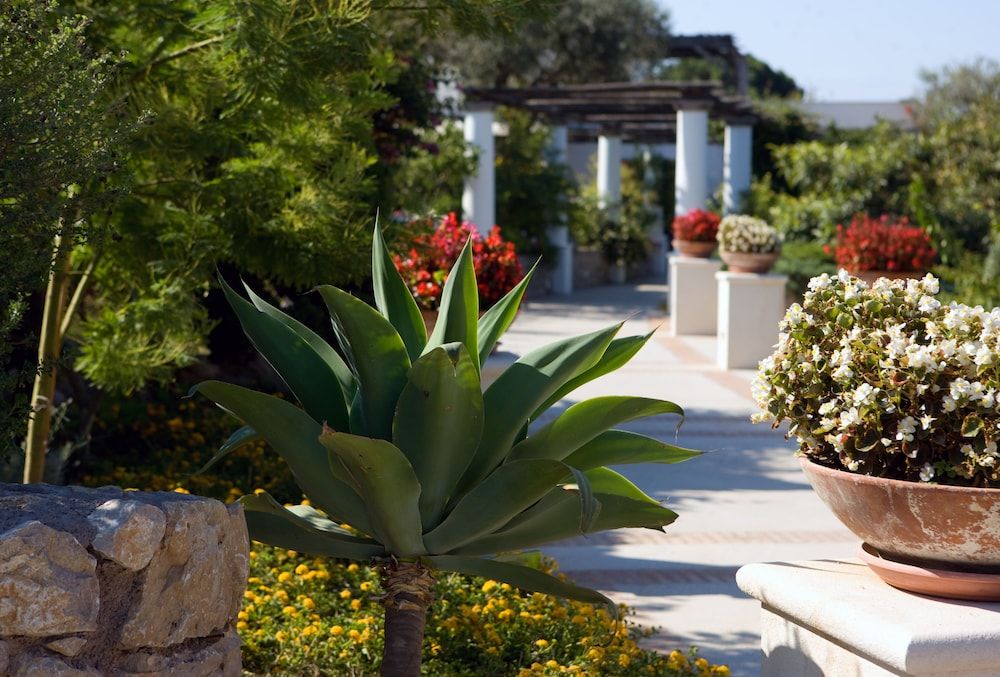 Hotel Al Mulino