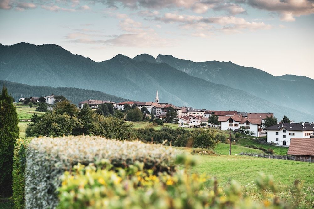 Agritur Bella di Bosco