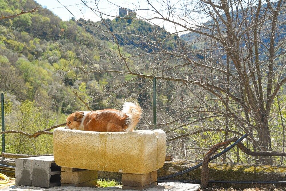 Podere La Villa Locanda con Cucina