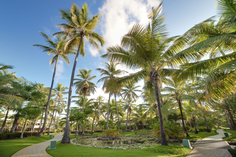 The Level at Meliá Punta Cana Beach