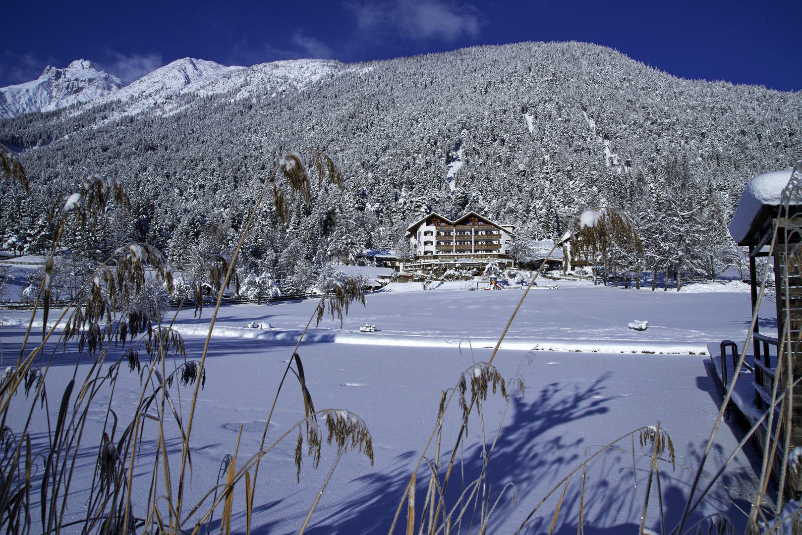 Linserhof