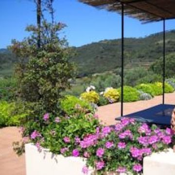 Villa Gemma