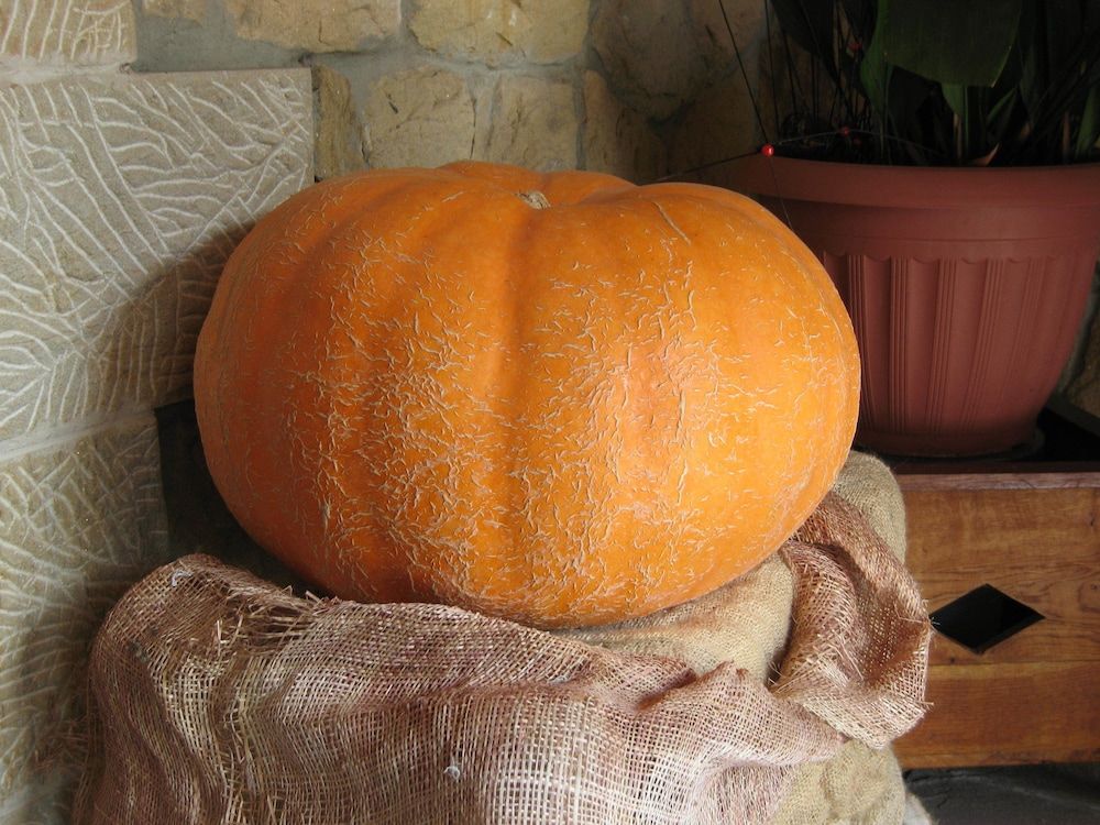 Posada La Anjana