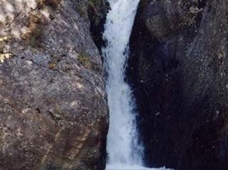 La Farga
