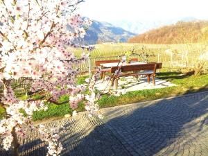 Landhaus Weingut