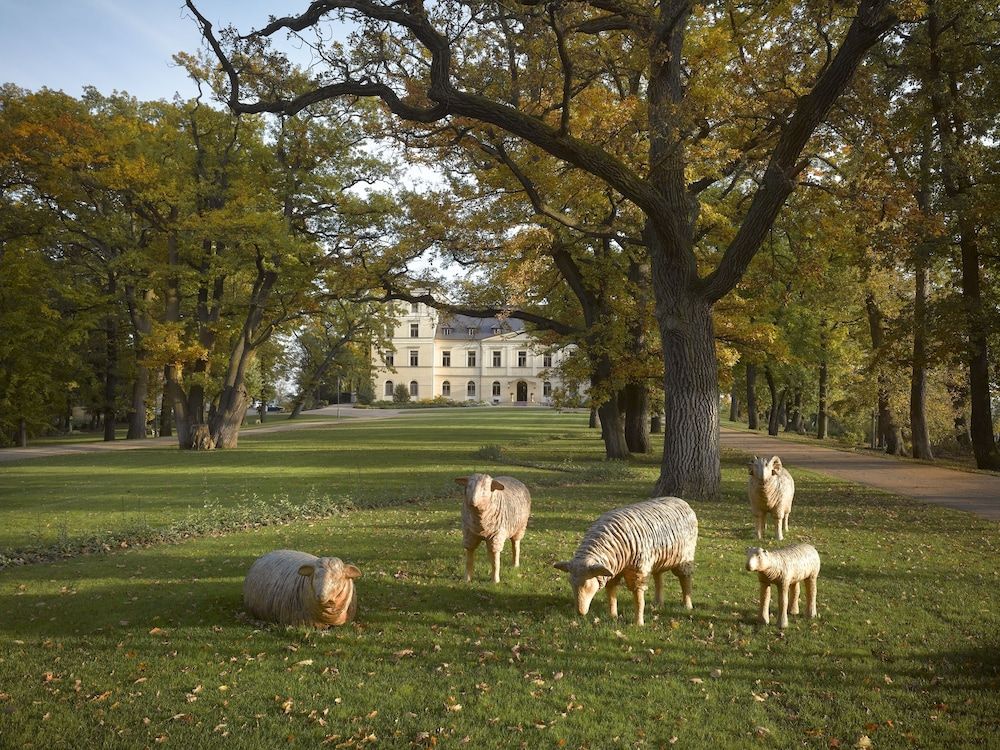 Chateau Mcely Spa Hotel & Forest Retreat