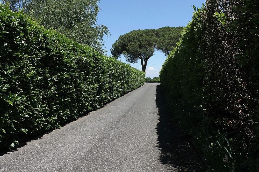 Antico Borgo di Sutri