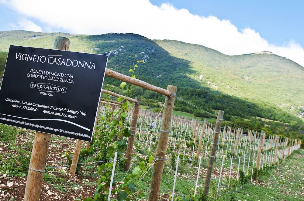 Casadonna Reale