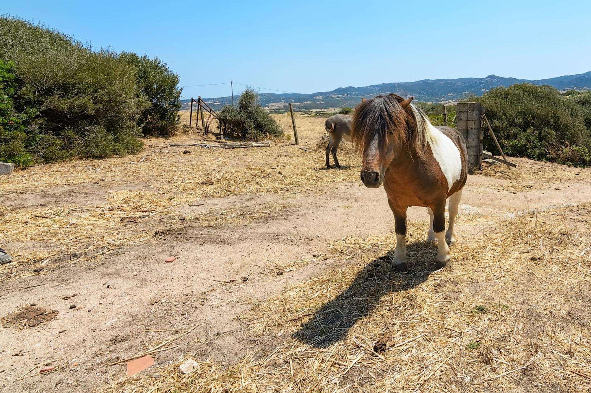 Agriturismo Lu Nodu