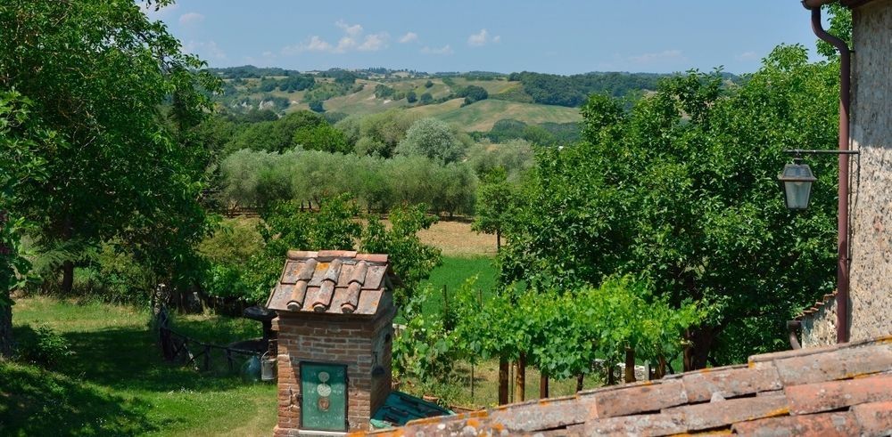 Podere La Murata