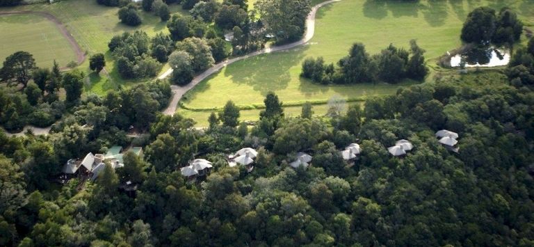 Tsala Treetop Lodge