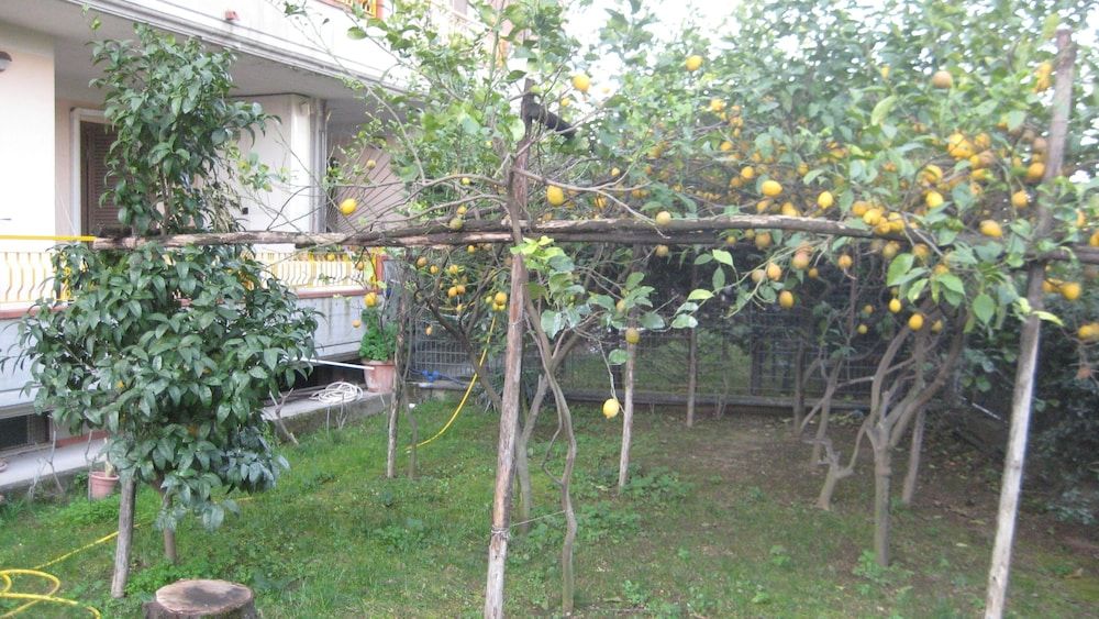 Appartamento Serena