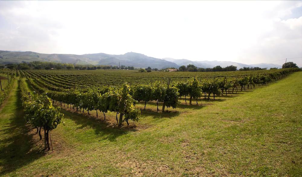 Verdidea Podere La Casetta